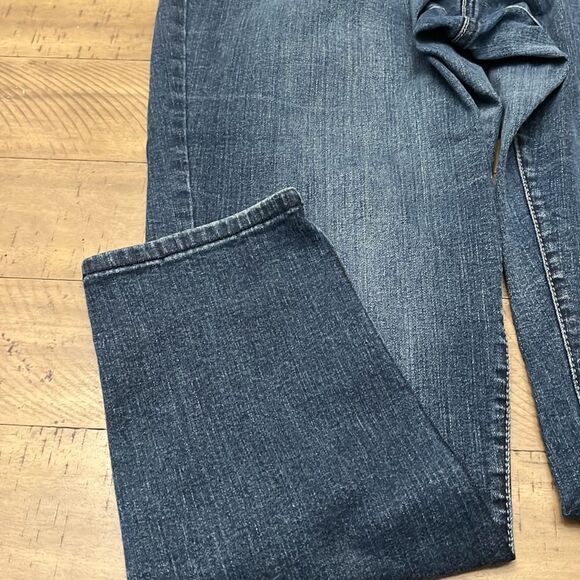 Lane Bryant Jegging denim - Picture 5 of 8